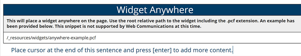 Widget Anywhere Snippet